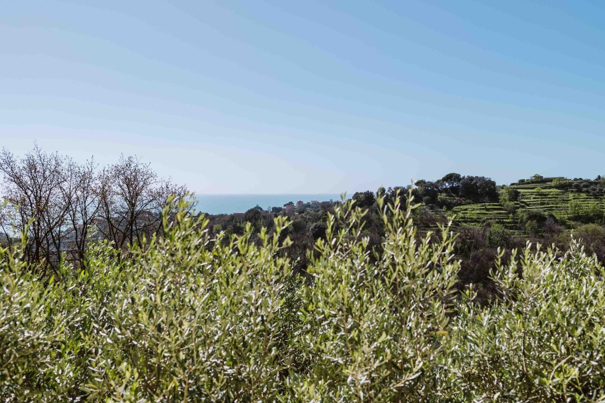 Abc Affittacamere Celle Ligure Exterior foto